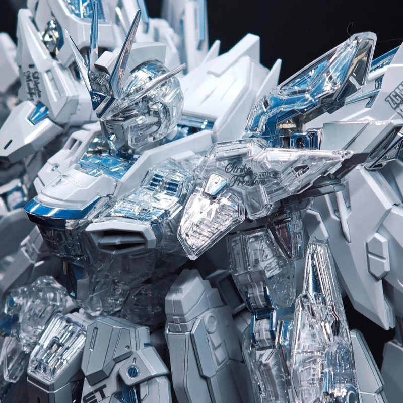【IN STOCK】CHANGLONG 7701 Twili - огляд і ціна Model Kit Nemesis