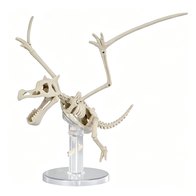 Bandai Pokemon Plastic Model D - огляд і ціна Model Kit Kyogre